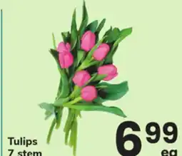 ACME Tulips offer