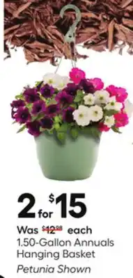 Lowe's 1.50-Gallon Annuals Hanging Basket offer