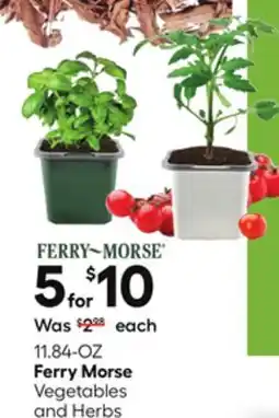 Lowe's Vegetables and Herbs offer