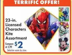 Boscov's 23-in. Licensed Characters Kite Assortment offer