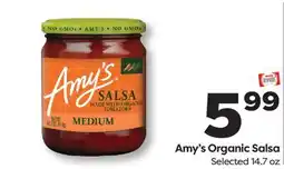 Weis Markets Amy's Organic Salsa offer