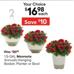 Lowe's 1.5-GAL Monrovia Annuals Hanging Basket, Planter or Bowl offer