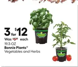 Lowe's Vegetables and Herbs offer
