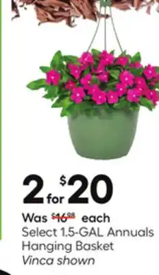 Lowe's Select 1.5-GAL Annuals Hanging Basket offer