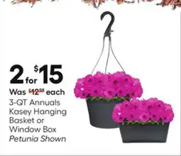 Lowe's 3-QT Annuals Kasey Hanging Basket or Window Box offer