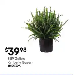 Lowe's Kimberly Queen offer