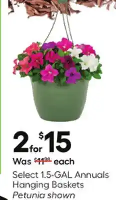 Lowe's Select 1.5-GAL Annuals Hanging Baskets Petunia shown offer