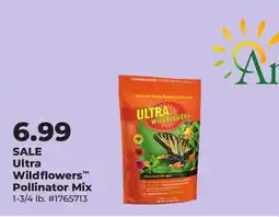 Runnings Amturf Ultra Wildflowers Pollinator Mix offer