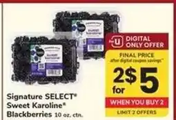 Safeway Signature Select Sweet Karoline Blackberries offer