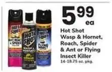 Safeway Hot Shot Insect Killer offer