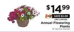 ShopRite Annual Flowering Plants offer