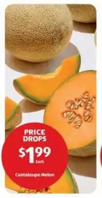 Aldi Cantaloupe Melon offer