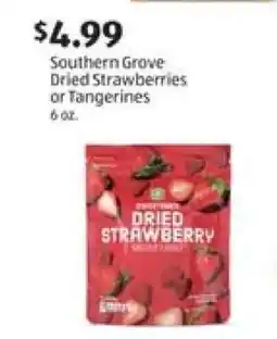 Aldi Southern Grove Dried Strawberries or Tangerines offer
