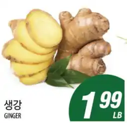 Joong Boo Market GINGER offer