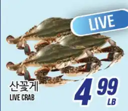 Joong Boo Market LIVE CRAB offer