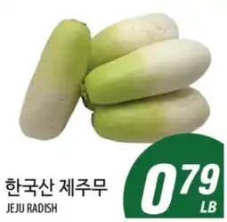 Joong Boo Market JEJU RADISH offer