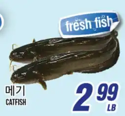 Joong Boo Market CATFISH offer