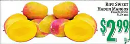 Trade Fair Supermarket RIPE SWEET HADEN MANGOS offer