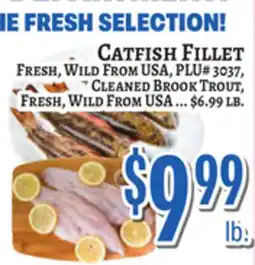 Trade Fair Supermarket CATFISH FILLET, Fresh, Wild From USA, PLU# 3037, Cleaned Brook Trout, Fresh, Wild From USA offer