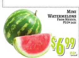 Trade Fair Supermarket MINI WATERMELONS offer