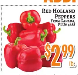 Trade Fair Supermarket RED HOLLAND PEPPERS offer