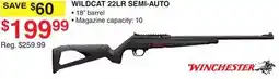 Dunham's Sports WINCHESTER WILDCAT 22LR SEMI-AUTO offer
