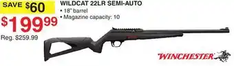 Dunham's Sports WINCHESTER WILDCAT 22LR SEMI-AUTO offer