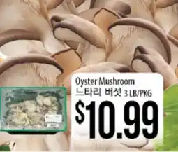 Hmart Oyster Mushroom offer