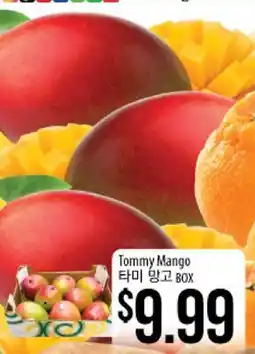Hmart Tommy Mango offer