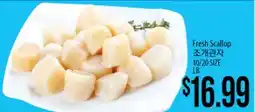 Hmart Fresh Scallop offer