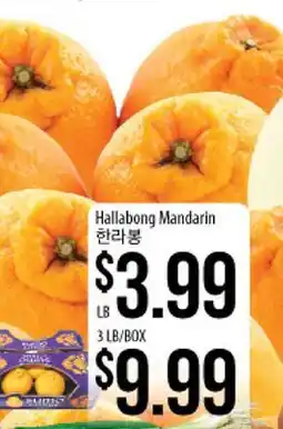 Hmart Hallabong Mandarin offer