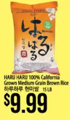 Hmart HARU HARU 100% California Grown Medium Grain Brown Rice offer