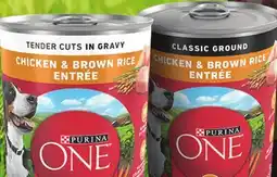 Family Dollar Purina ONE Wet Dog Food offer