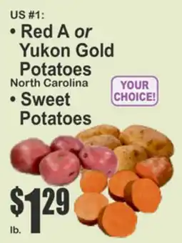 Almonte's Food Dynasty Marketplace US #1 Red A or Yukon Gold Potatoes North Carolina Sweet Potatoes offer