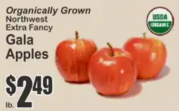 Almonte's Food Dynasty Marketplace Organically Grown Northwest Extra Fancy Gala Apples offer