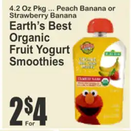 Almonte's Food Dynasty Marketplace Earth's Best Organic Fruit Yogurt Smoothies offer