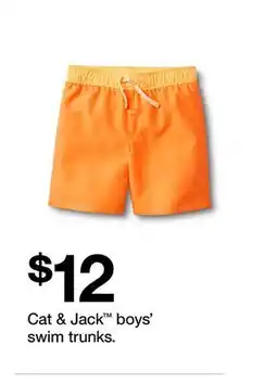 Target Cat & Jack boys' swim trunks offer