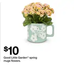 Target Good Little Garden spring mug flowers offer