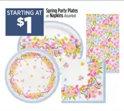 Dollar General Spring Party Plates or Napkins offer