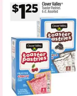 Dollar General Clover Valley Toaster Pastries offer