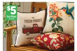 Dollar General Toss Pillows offer