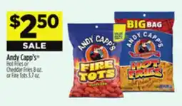 Dollar General Andy Capp's Hot Fries or Cheddar Fries 8 oz. or Fire Tots 3.7 oz offer