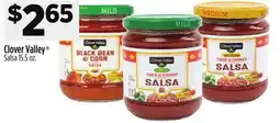 Dollar General Clover Valley Salsa offer