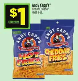 Dollar General Andy Capp's Hot or Cheddar Fries offer