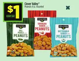Dollar General Clover Valley Peanuts offer