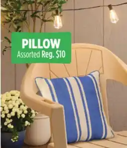 Dollar General PILLOW offer