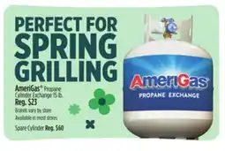 Dollar General AmeriGas Propane Cylinder offer