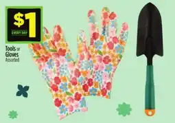 Dollar General Tools or Gloves offer