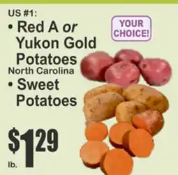 Key Food US #1 Potatoes offer