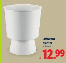 Lidl LIVARNO planter offer